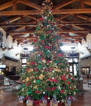 Y O Ranch Hotel And Conference Center Kerrville Rum bild